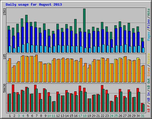 Daily usage for August 2013