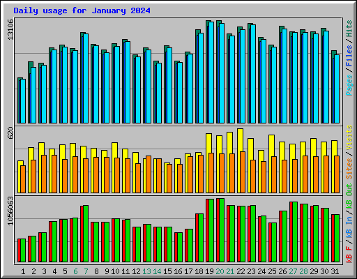 Daily usage for January 2024