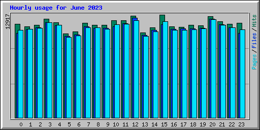 Hourly usage for June 2023