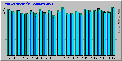 Hourly usage for January 2024