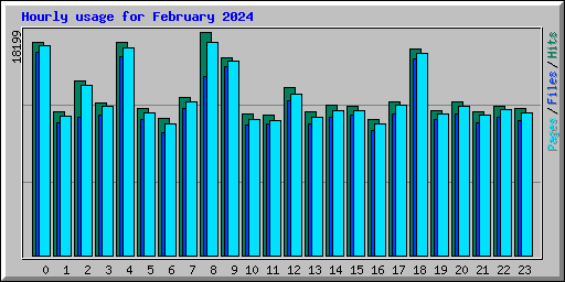 Hourly usage for February 2024