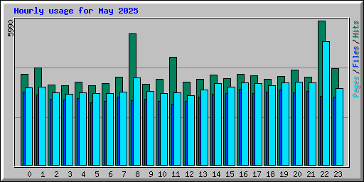 Hourly usage for May 2025