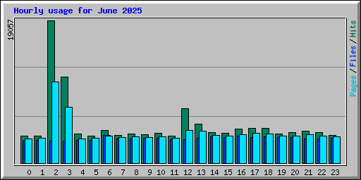 Hourly usage for June 2025
