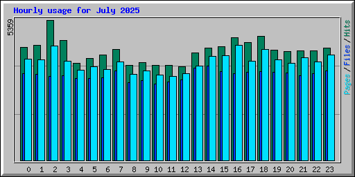 Hourly usage for July 2025