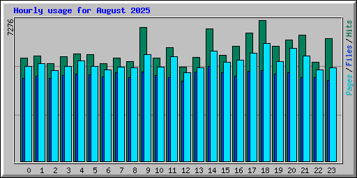 Hourly usage for August 2025