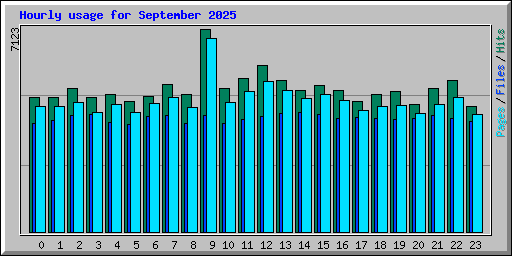 Hourly usage for September 2025