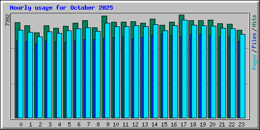 Hourly usage for October 2025