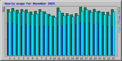 Hourly usage for November 2025