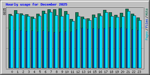 Hourly usage for December 2025