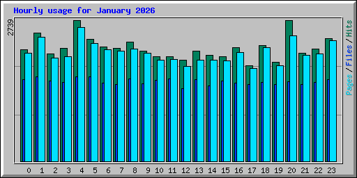 Hourly usage for January 2026