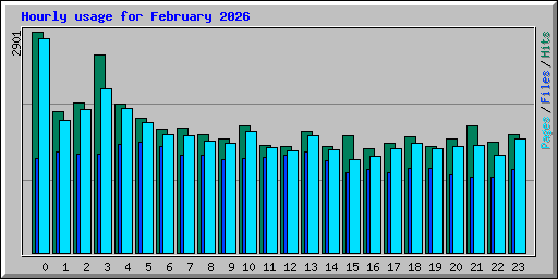 Hourly usage for February 2026