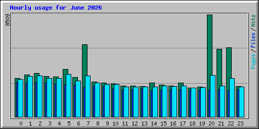 Hourly usage for June 2026