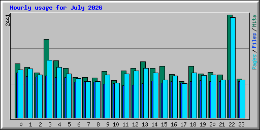 Hourly usage for July 2026